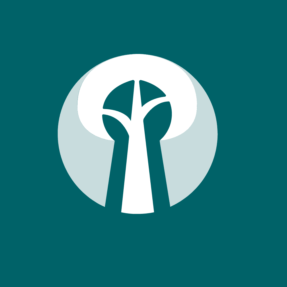Tree App in transition - refactoring for the future of the forest Cover