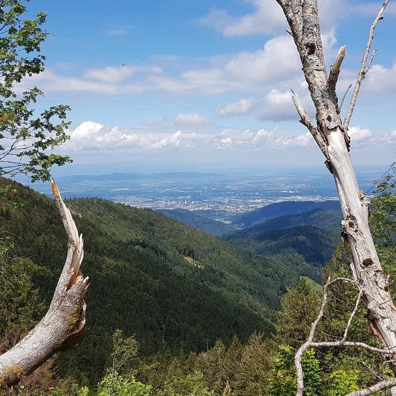 Company trip - mountain secret | geOps